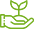 Sprout